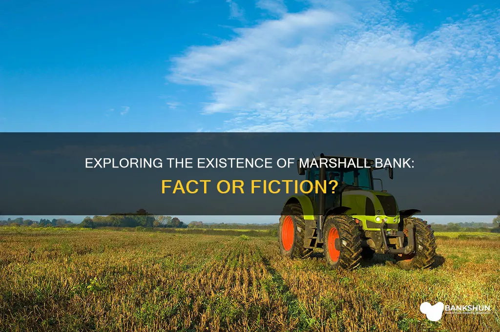 is there a bank named marshall bank
