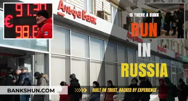 Russia's Banking Crisis: Is a Bank Run Unfolding?