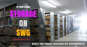 Exploring SWG: Does the Game Feature Bank Storage Options?