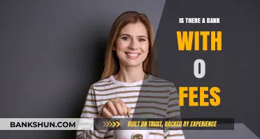 Zero Fee Banking: Uncovering Banks with No Hidden Charges