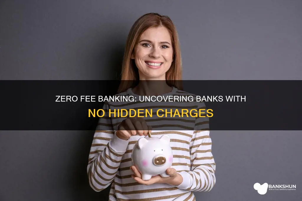 is there a bank with 0 fees
