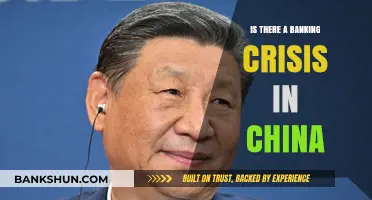 China's Banking Sector: Crisis or Controlled Challenge?
