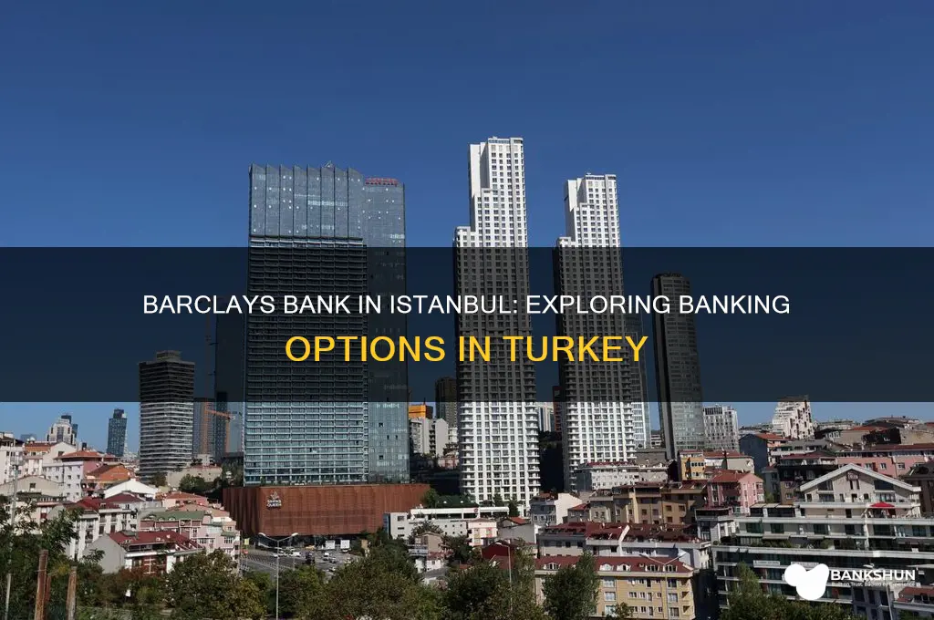 is there a barclays bank in istanbul