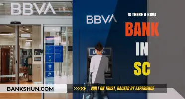BBVA Bank in South Carolina: Locations and Availability Explained
