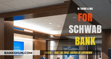 Schwab Bank BIC Inquiry: Does It Exist and How to Find It?