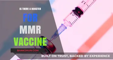 MMR Vaccine Booster: Do You Need One and When?