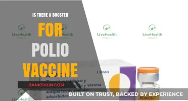 Exploring Polio Vaccine Boosters: Are They Necessary for Long-Term Immunity?