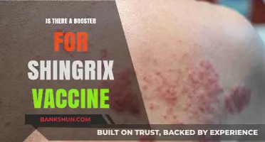 Shingrix Vaccine Booster: What You Need to Know