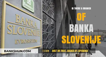 Exploring Banka Slovenije: Does It Have a Branch Network?