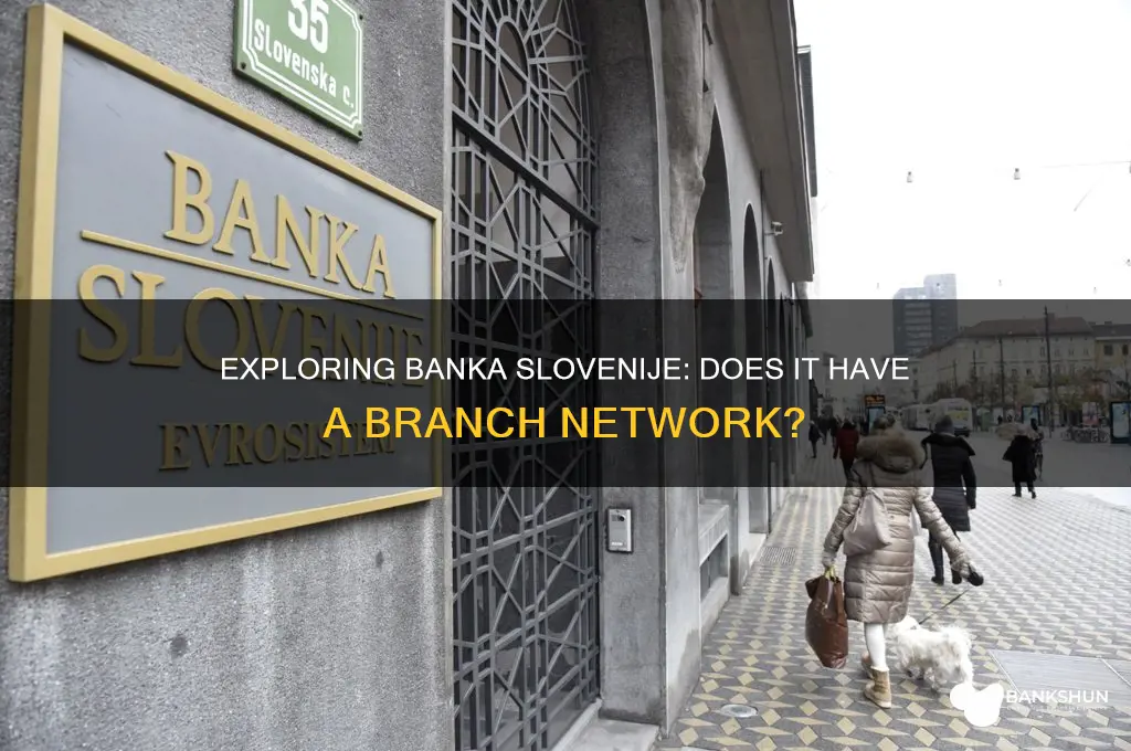 is there a branch of banka slovenije