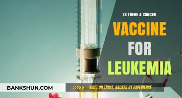 Exploring the Potential of a Cancer Vaccine for Leukemia Treatment