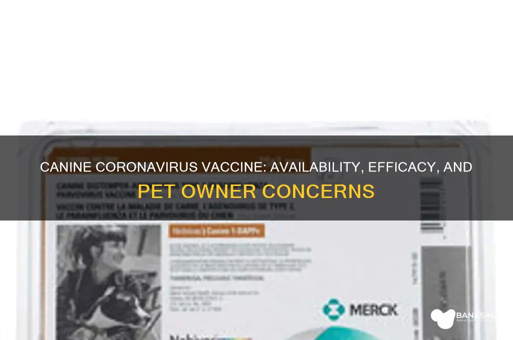 is there a canine corona virus vaccine