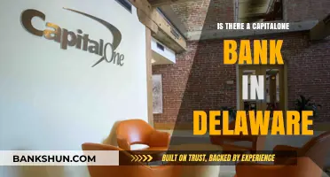 Capital One Bank in Delaware: Locations and Services Explained