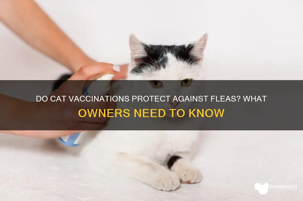 is there a cat vaccination for fleas