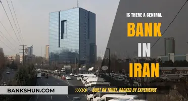Exploring Iran's Monetary Authority: Does a Central Bank Exist?