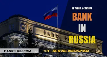 Does Russia Have a Central Bank? Exploring the Nation's Monetary Authority