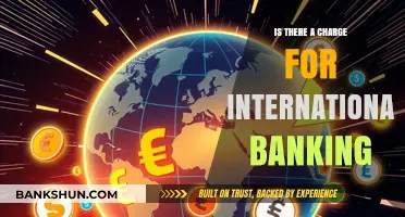 International Banking Fees: What You Need to Know Before Transacting Abroad