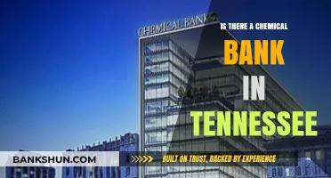 Exploring Tennessee's Chemical Banking Options: What You Need to Know