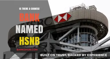 HSNB: Unraveling the Mystery of a Chinese Bank's Existence