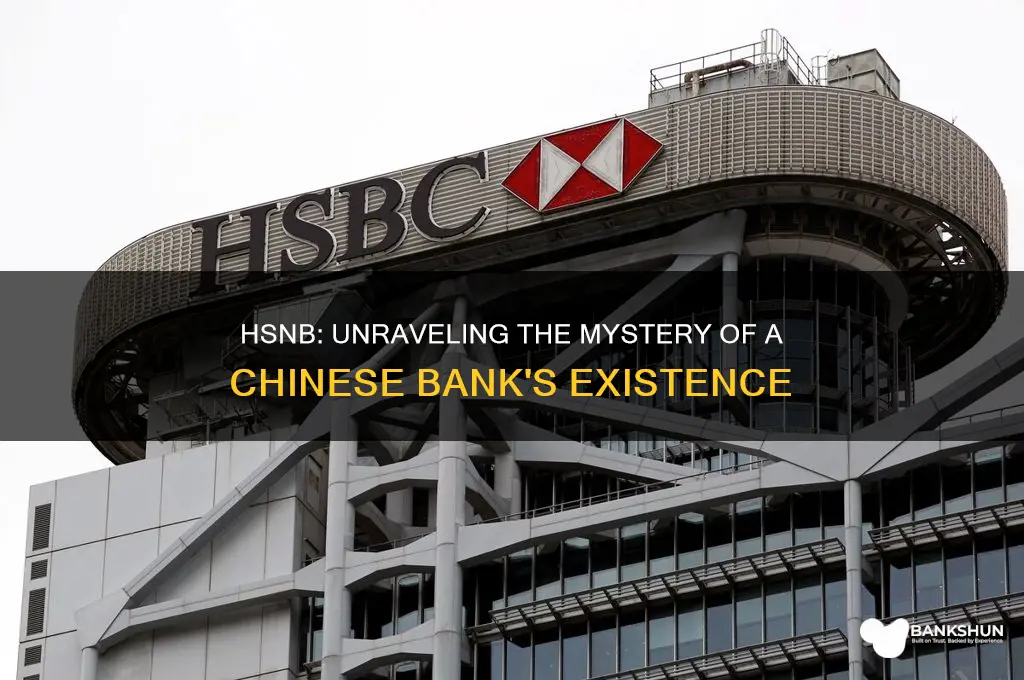 is there a chinese bank named hsnb