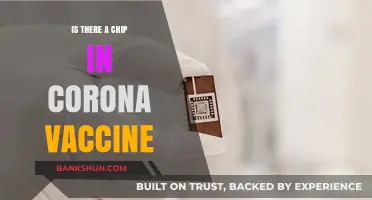 Debunking Myths: The Truth About Chips in COVID-19 Vaccines