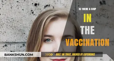 Vaccination Chip Conspiracy: Separating Fact from Fiction in COVID-19 Myths