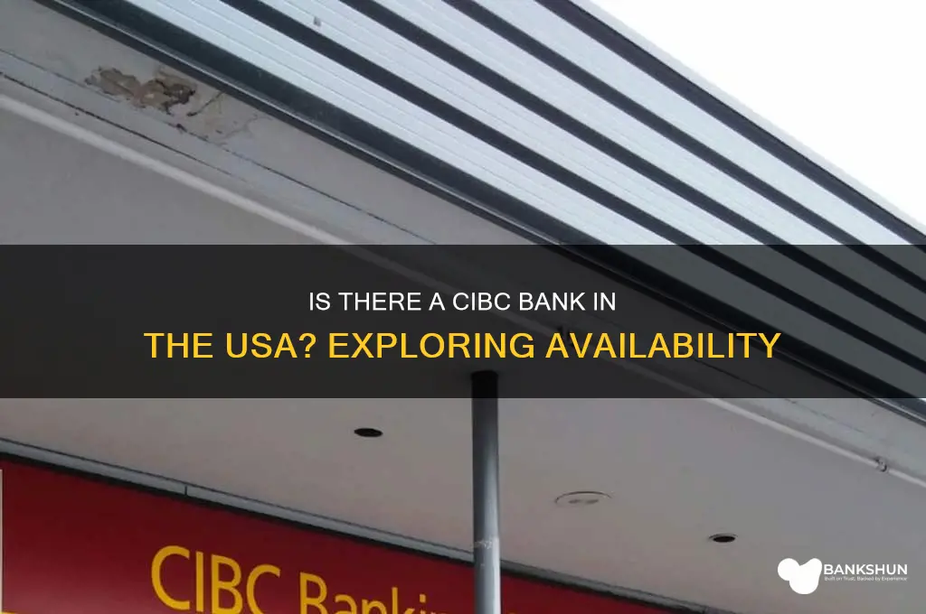is there a cibc bank in usa