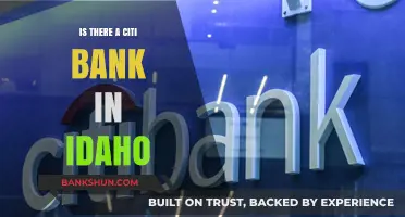 Exploring Banking Options: Is There a Citi Bank in Idaho?