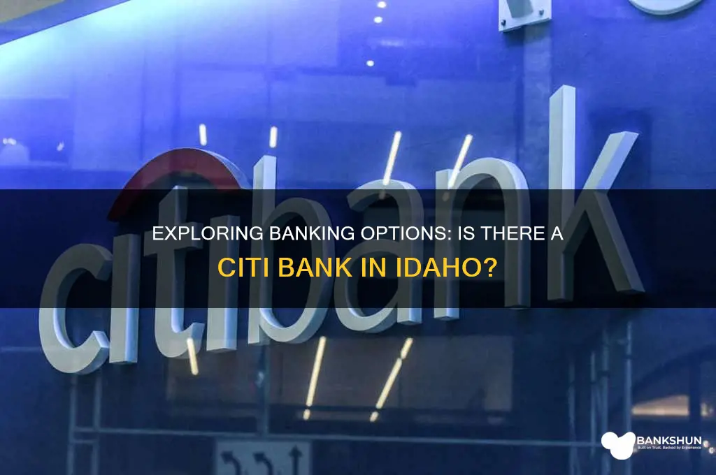 is there a citi bank in idaho