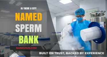 Exploring the Myth: Is There Really a City Named Sperm Bank?