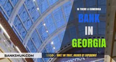 Comerica Bank in Georgia: Locations, Services, and Availability Explained