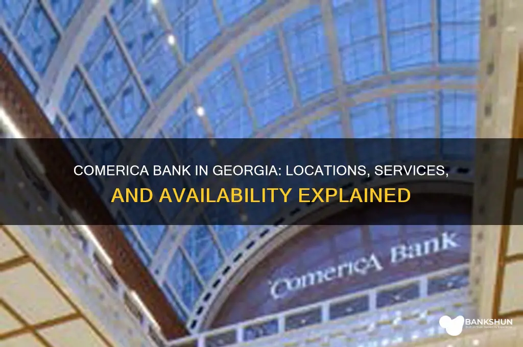 is there a comerica bank in georgia