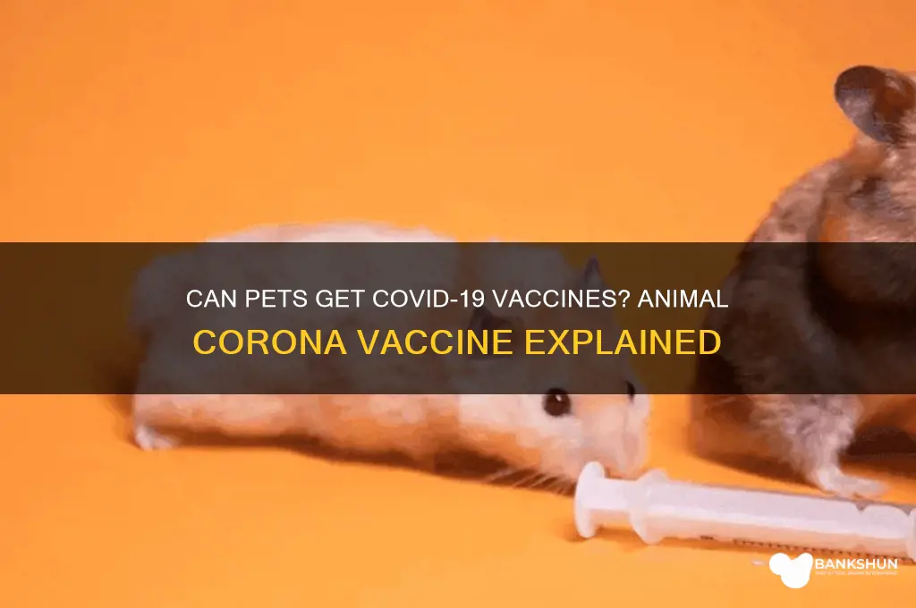 is there a corona vaccine for animals