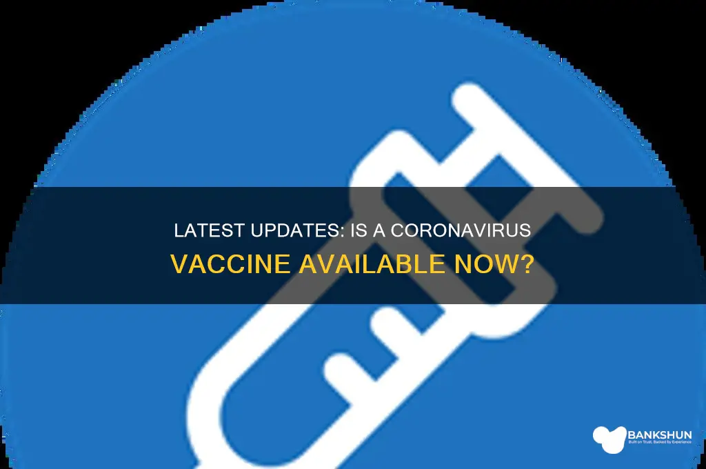 is there a corona virus vaccine yet