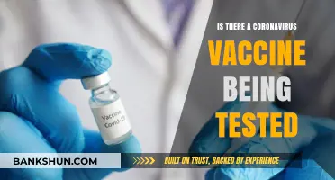 Coronavirus Vaccine Trials: Latest Updates on Testing and Development