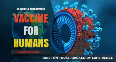 Coronavirus Vaccine for Humans: Current Status and Future Prospects
