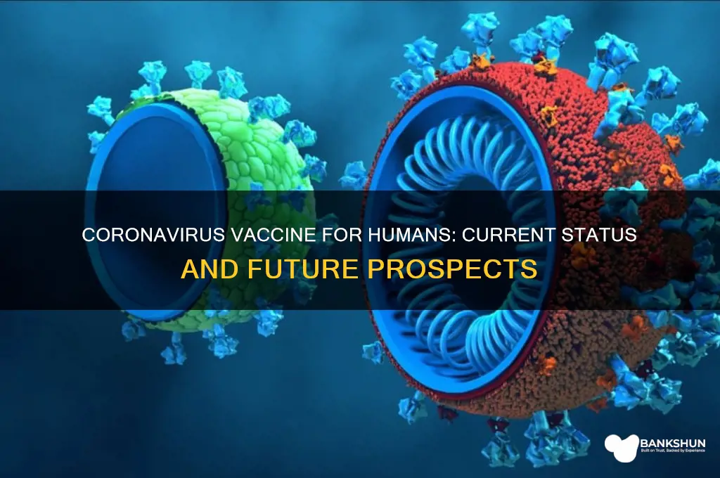 is there a coronavirus vaccine for humans