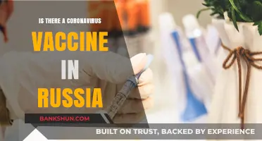 Russia's COVID-19 Vaccine: Development, Efficacy, and Global Impact Explained