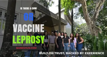 Leprosy: Current Treatments, Vaccine Research, and Hope for a Cure