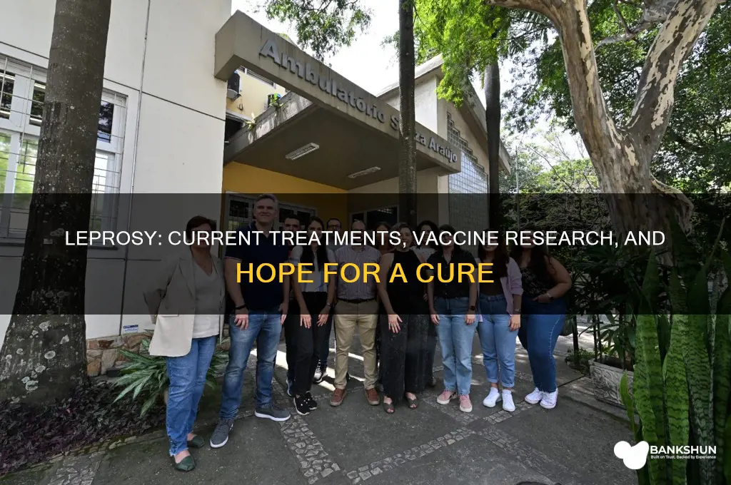 is there a cure or vaccine leprosy