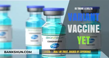 Delta Variant Vaccine: Current Status and What You Need to Know
