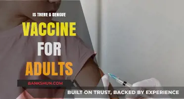 Dengue Vaccine for Adults: Availability, Effectiveness, and What You Need to Know