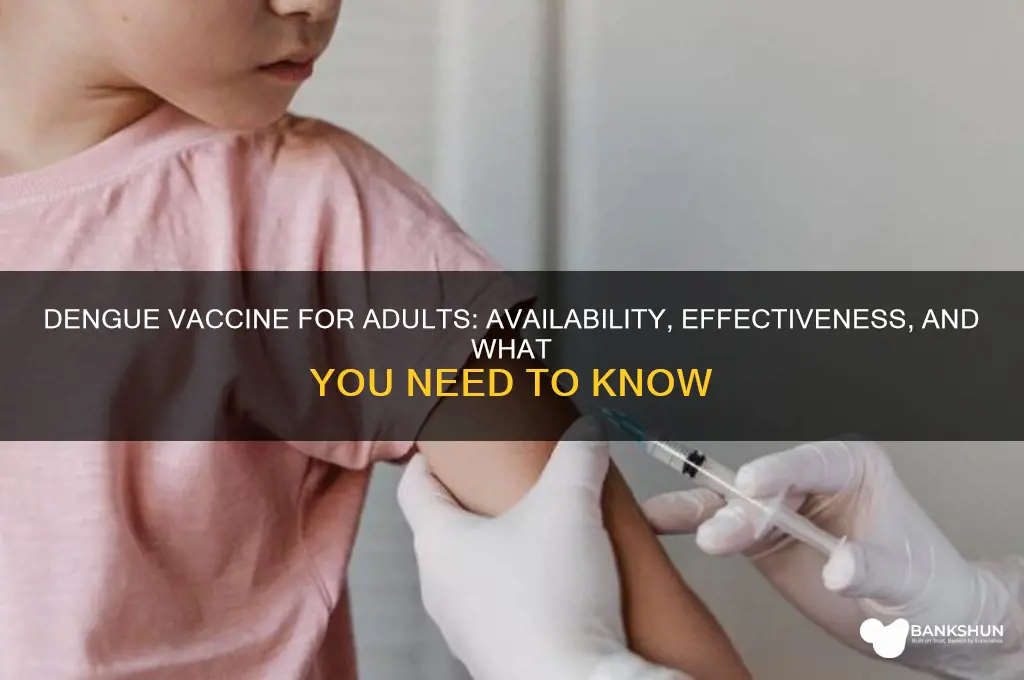 is there a dengue vaccine for adults