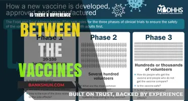 Vaccine Variations: Understanding the Differences Between COVID-19 Vaccines