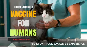Can Humans Get a Distemper Vaccine? Exploring the Facts and Myths