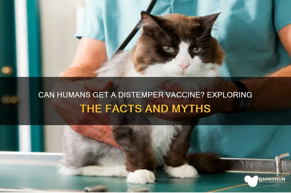 is there a distemper vaccine for humans