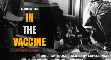 Debunking Myths: Fetal Cells and Vaccines – Separating Fact from Fiction