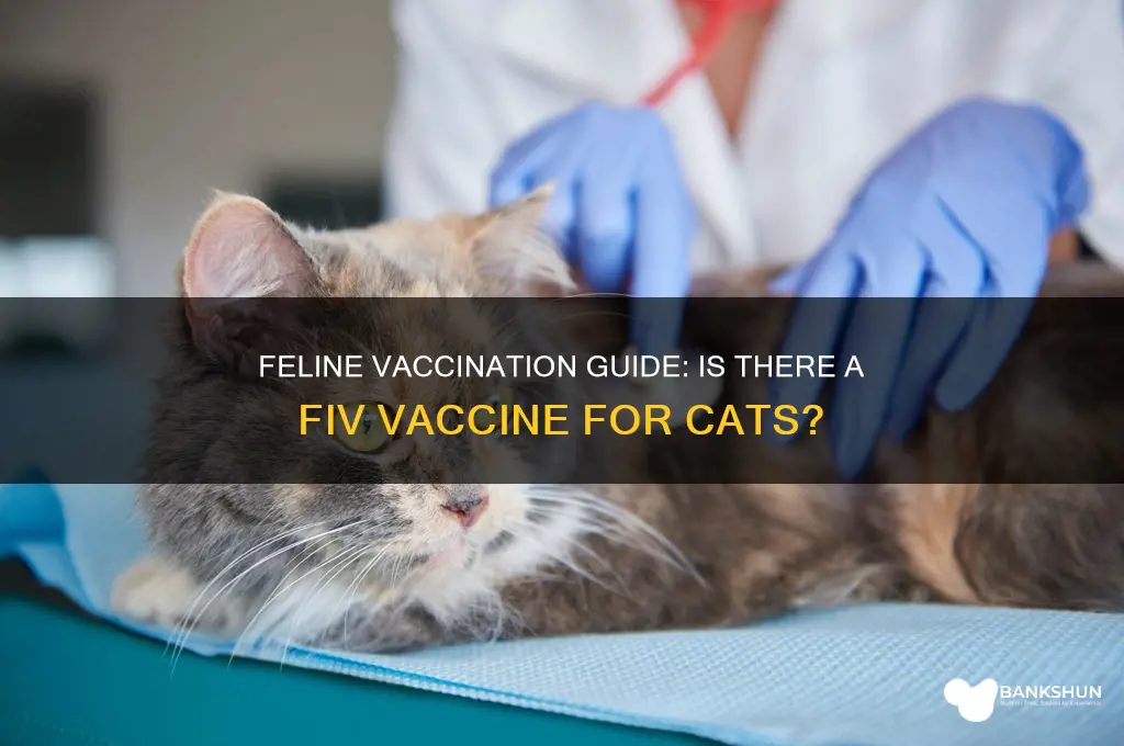 is there a fiv vaccination for cats