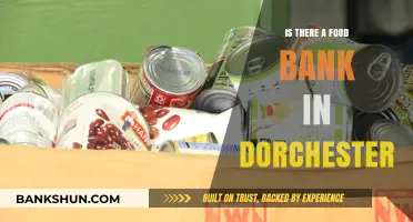 Dorchester Food Banks: Where to Find Local Hunger Relief Resources