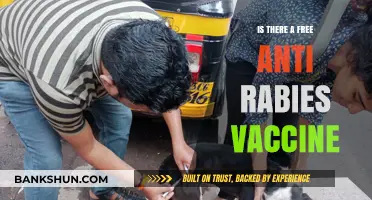 Free Anti-Rabies Vaccine: Availability, Accessibility, and Prevention Options